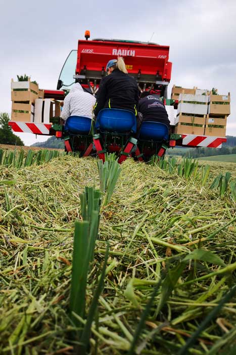 Pflanzmaschine von Mulchtec in Aktion